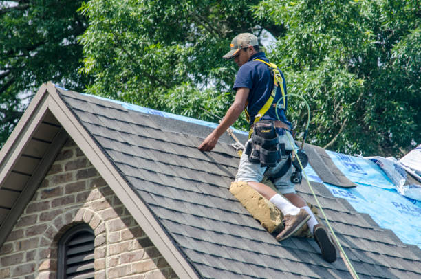 Best Local Roofing Companies  in Cerro Gordo, IL